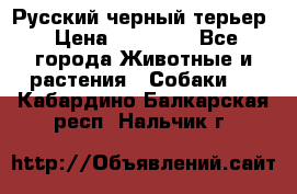Русский черный терьер › Цена ­ 35 000 - Все города Животные и растения » Собаки   . Кабардино-Балкарская респ.,Нальчик г.